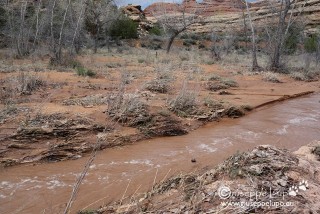 trail damaged through rain drainage