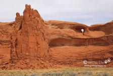 Teardrop Arch