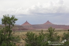 ariving in Canyonlands N.P., Needles District