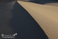 Mesquite Sand Dunes