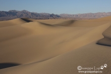 Mesquite Sand Dunes