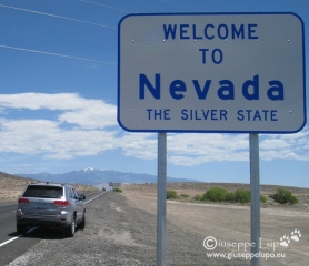 at the California state border