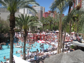 Flamingo Pool