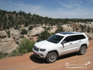 the new  Jeep V8 at the yant flat forest road