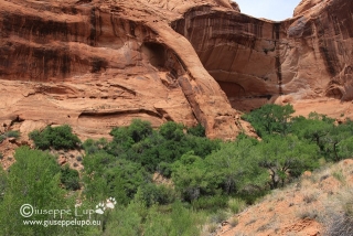 Cliff Arch