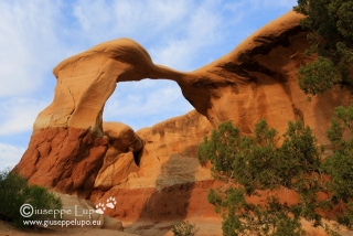 Metate Arch