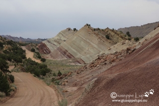 Waterpocket Fold (Notom Bullfrog Road)