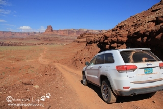 on the White Rim road