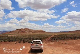 on the White Rim road