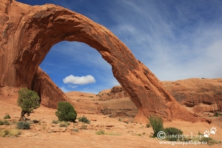 Corona Arch (Moab Potash Road)