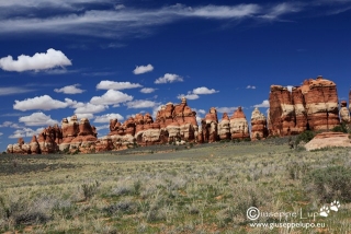 Chessler Park   (Canyonlands N.P. Needles)