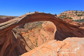 Eggshell Arch