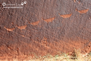 Anaszasi Petroglyphs at Colrado river near horseshoe bend