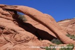 Cobra Arch