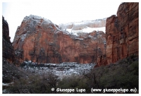 Zion N. Park