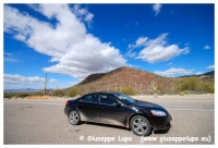 Saguaro N.P.