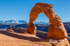 delicatearch2015-0945.jpg