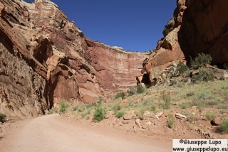 Capitol Gorge in Capitol Reef N.P.