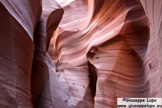 Zebra slot Canyon