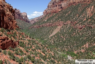 view from trailhead to the left fork of the north creek valley