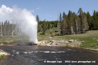 Lakeside Geysir eruption