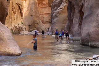 in the Zion Narows