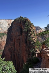 last 800 m to Angel's Landing on a narrow rim