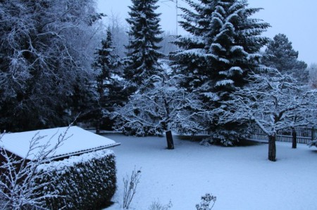 Dec 12 2009: first Snow in Munich